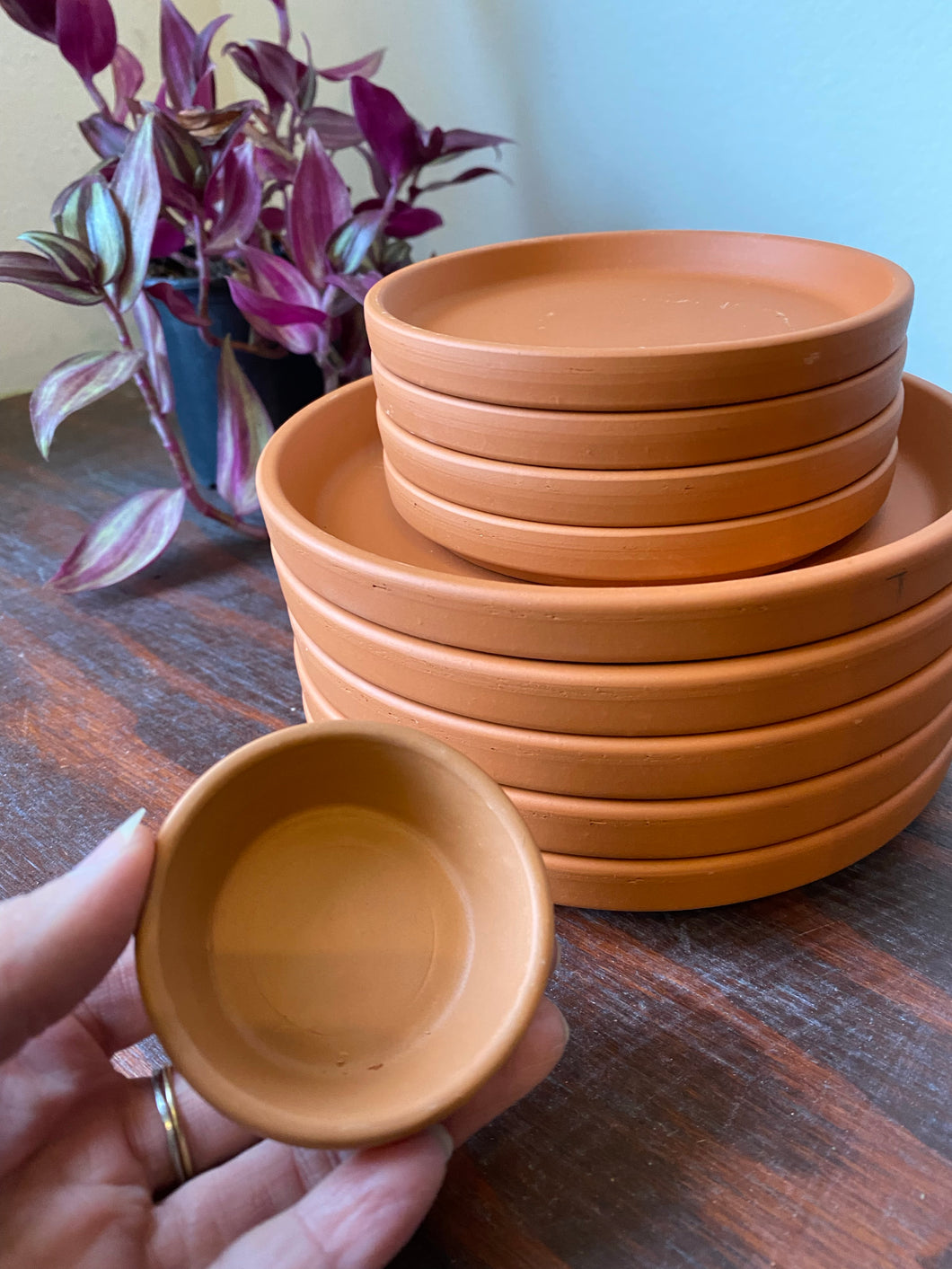 Terracotta Saucer